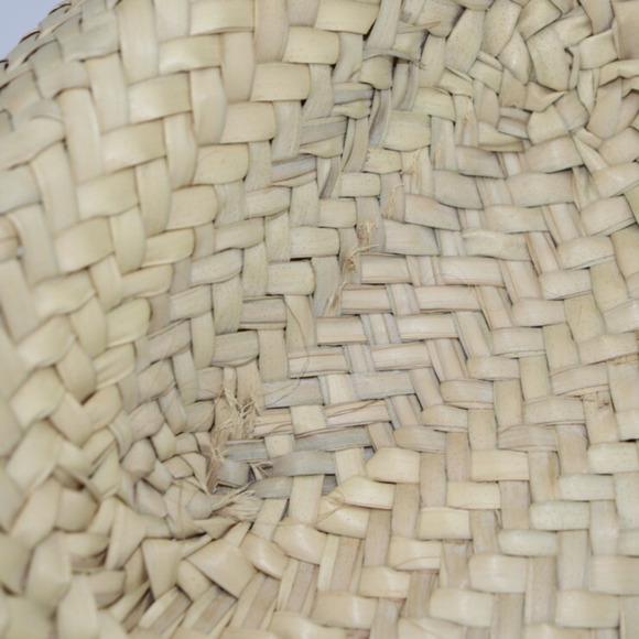 CELINE Teen Triomphe Classic Panier Handbag 194002CML Raffia Calf Leather Natura - Picture 5 of 10